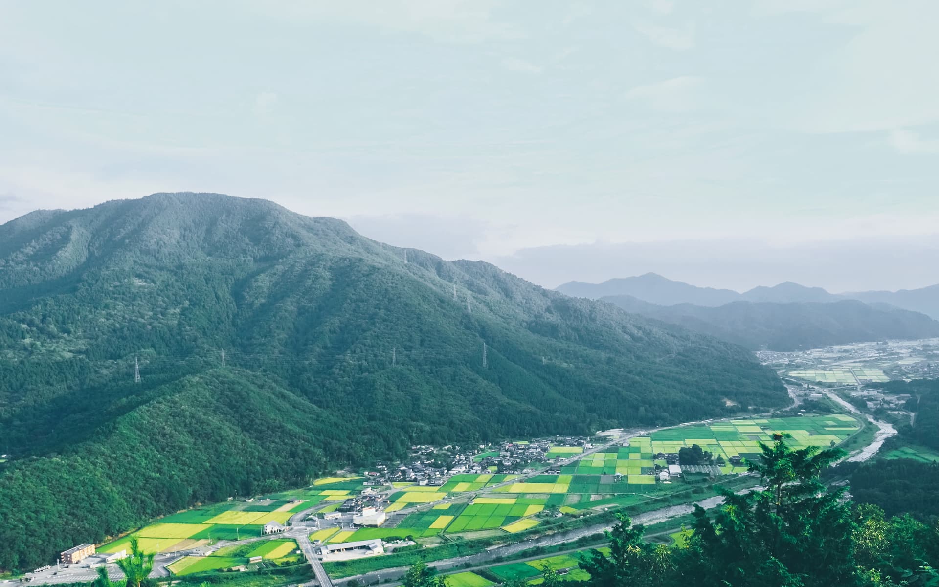 Mindful landscape